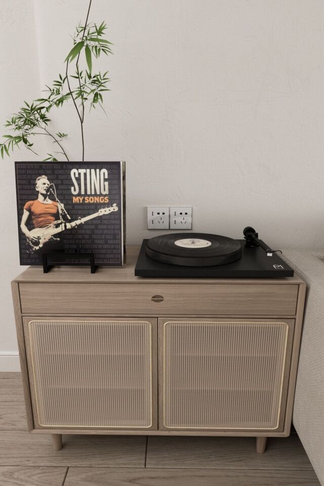 Metal Plak Tutucu LP Plak Standı