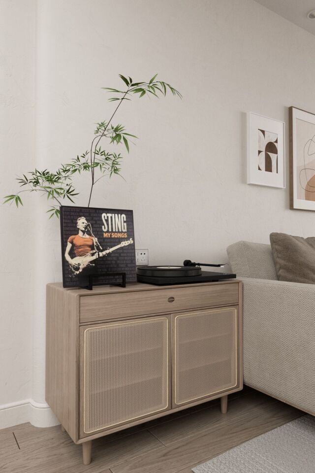 Metal Plak Tutucu LP Plak Standı