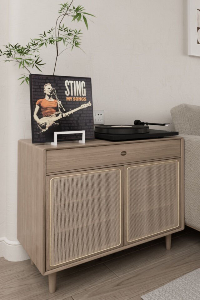 Metal Plak Tutucu LP Plak Standı