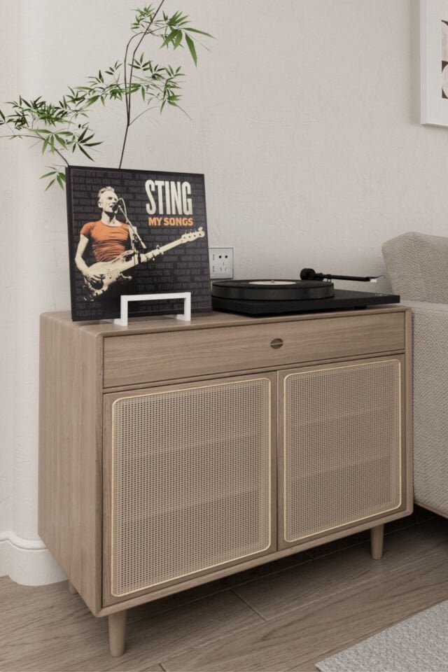 Metal Plak Tutucu LP Plak Standı
