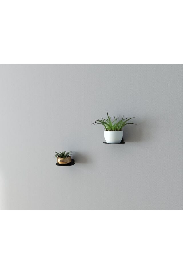 Minimalist Bitki Rafı Yüzer Raf, Metal Teşhir Rafı Bitki Askısı İç Mekan Dekoratif Bitki Rafı 2 ADET